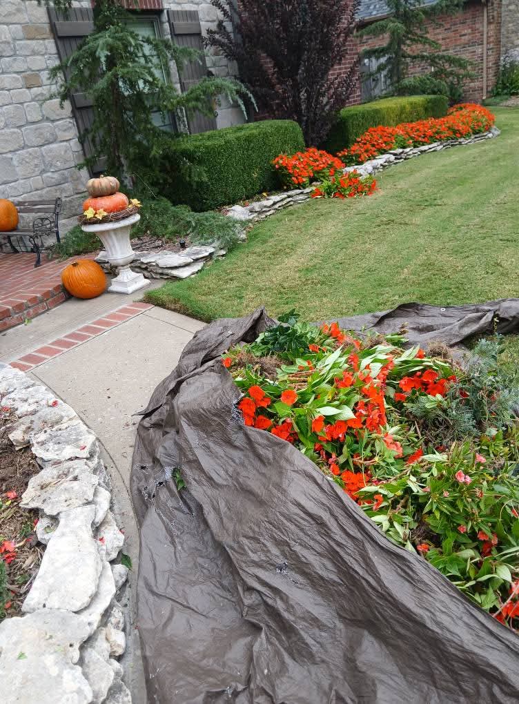 Seasonal Flower Installation